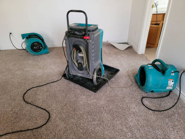 Best Residential water damage restoration  in Oak Trail Shores, TX