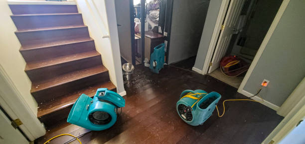 Local water damage restoration in Oak Trail Shores, TX