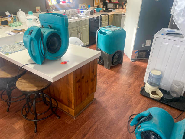 Best Commercial water damage restoration  in Oak Trail Shores, TX