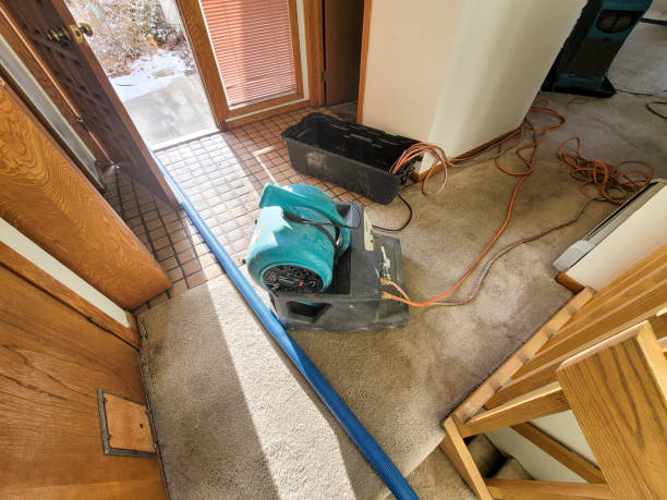 Professional Water damage restoration in Oak Trail Shores, TX