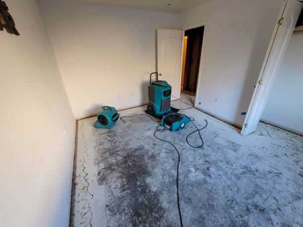 Best Local water damage restoration  in Oak Trail Shores, TX