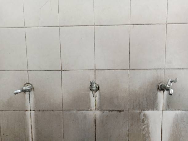 Best Ceiling water damage repair  in Oak Trail Shores, TX