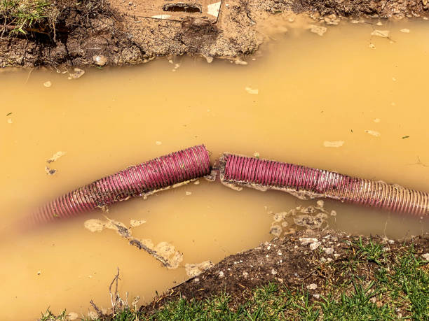 Best Mold removal after water damage  in Oak Trail Shores, TX